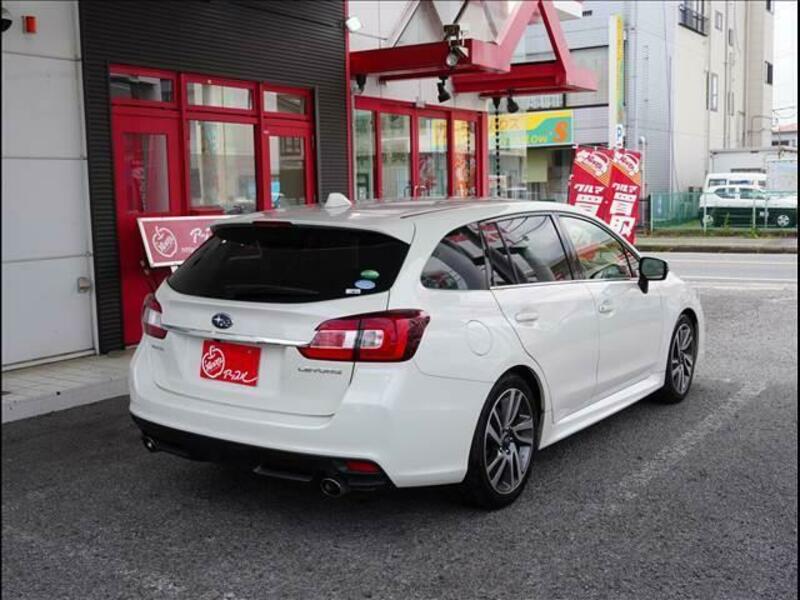LEVORG