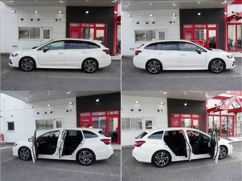 LEVORG
