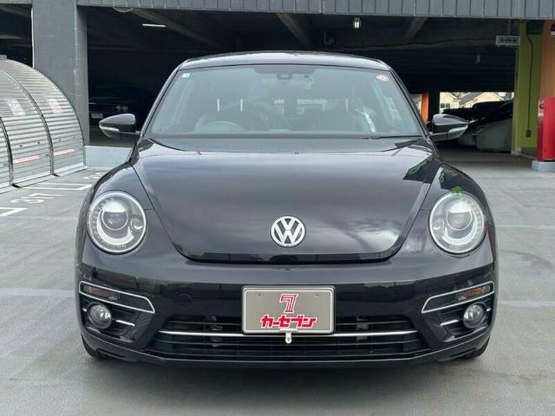 THE BEETLE