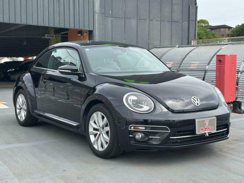 THE BEETLE