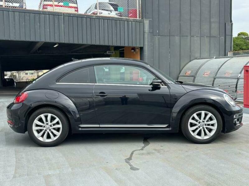 THE BEETLE