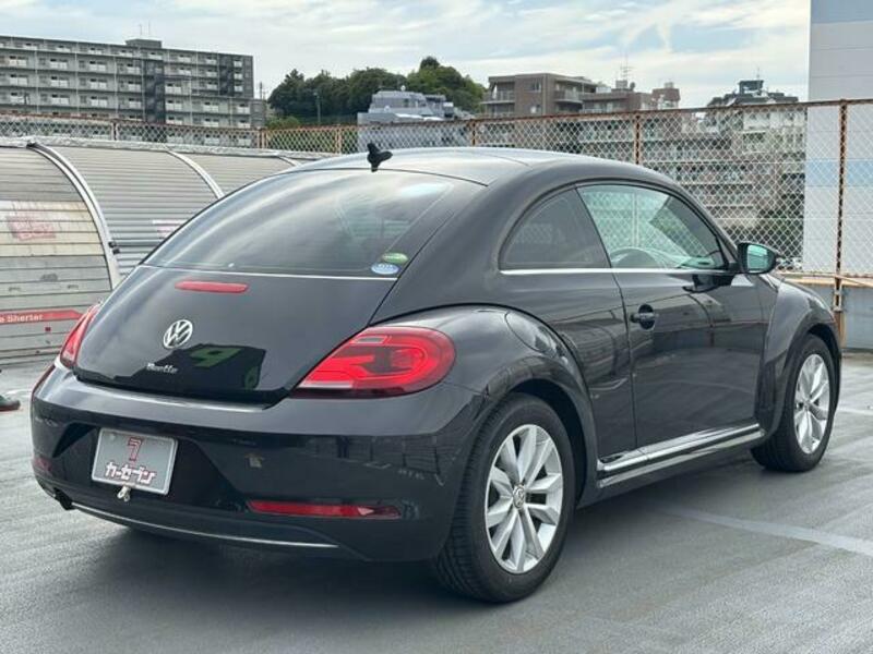 THE BEETLE