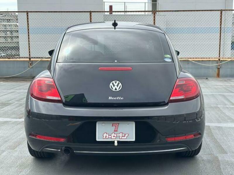 THE BEETLE