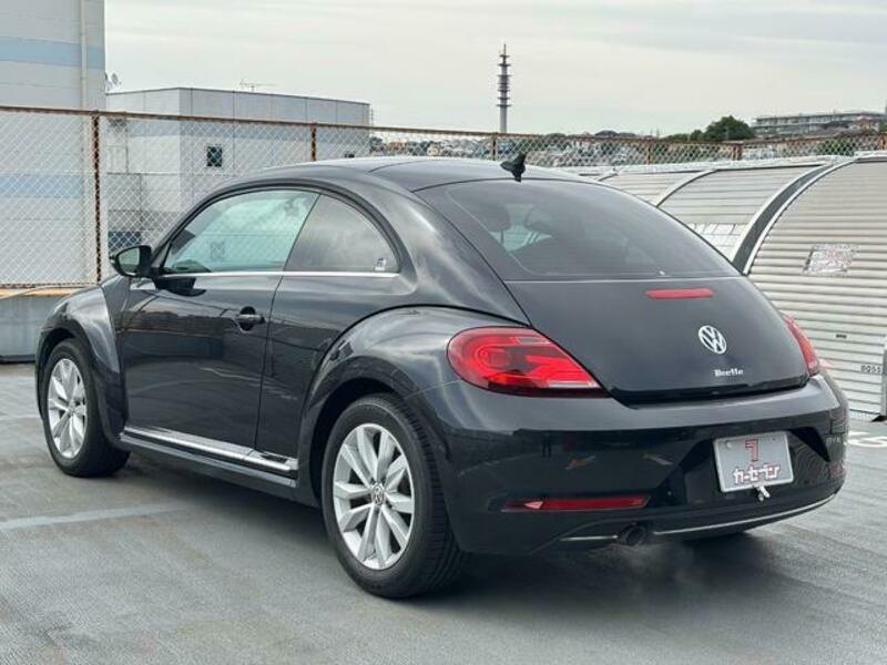 THE BEETLE