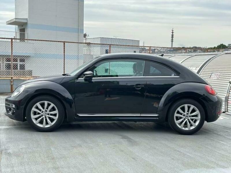 THE BEETLE