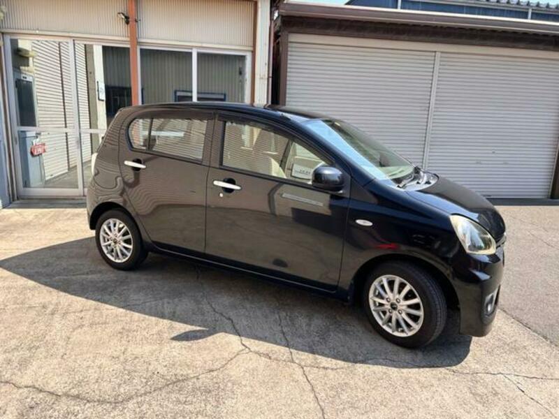 PLEO PLUS
