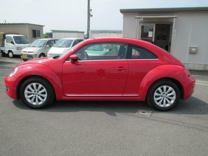 THE BEETLE