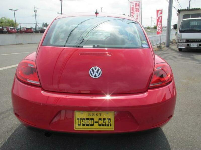 THE BEETLE
