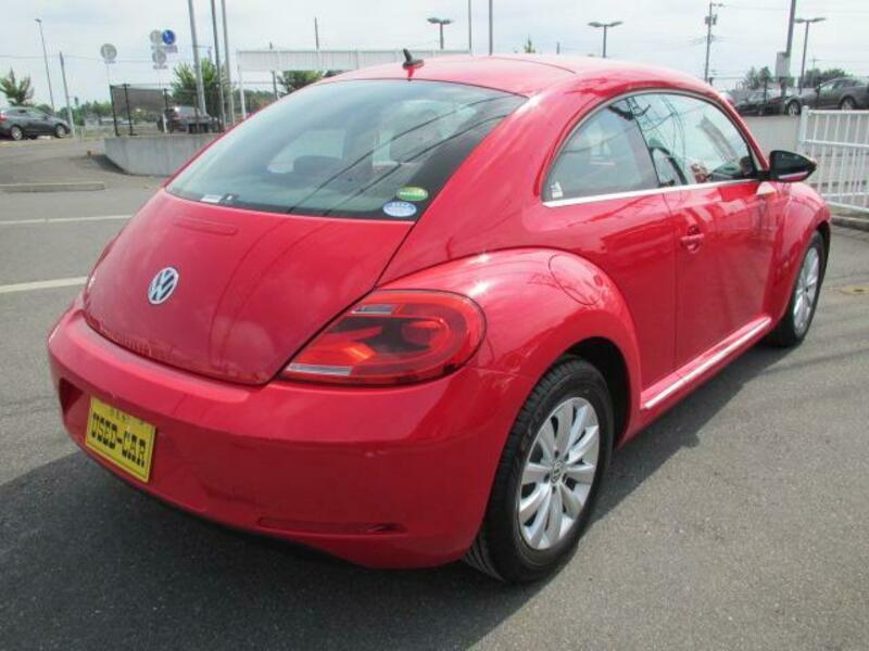 THE BEETLE