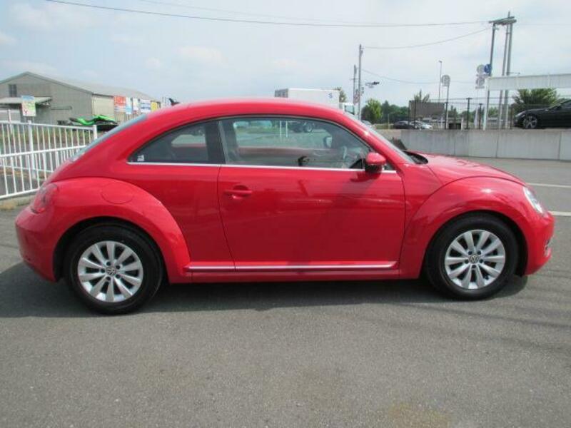 THE BEETLE