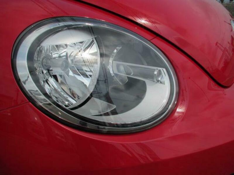 THE BEETLE