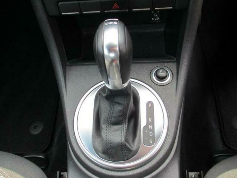 THE BEETLE