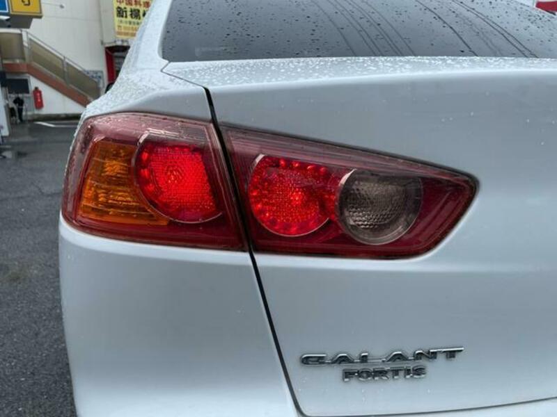 GALANT FORTIS
