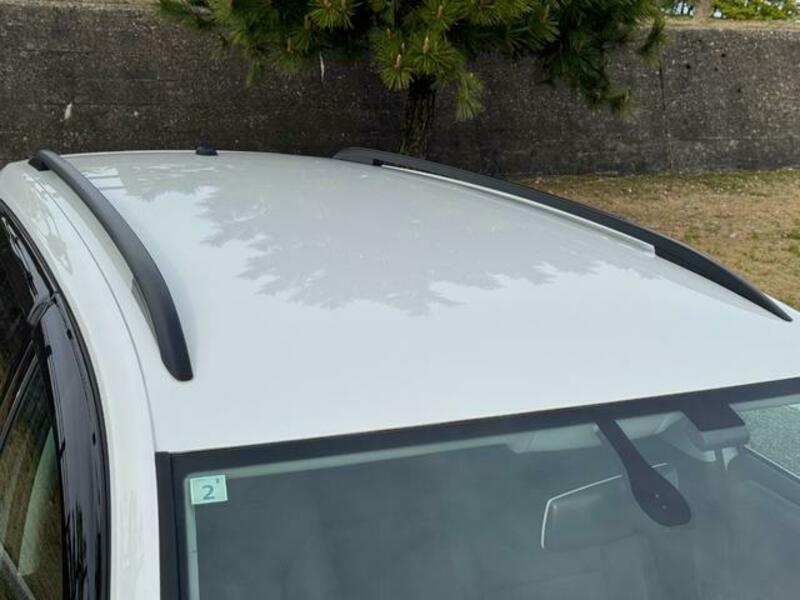 GOLF VARIANT