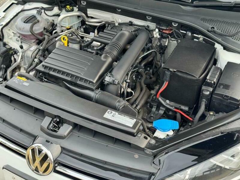 GOLF VARIANT