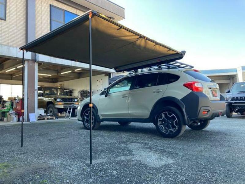 XV