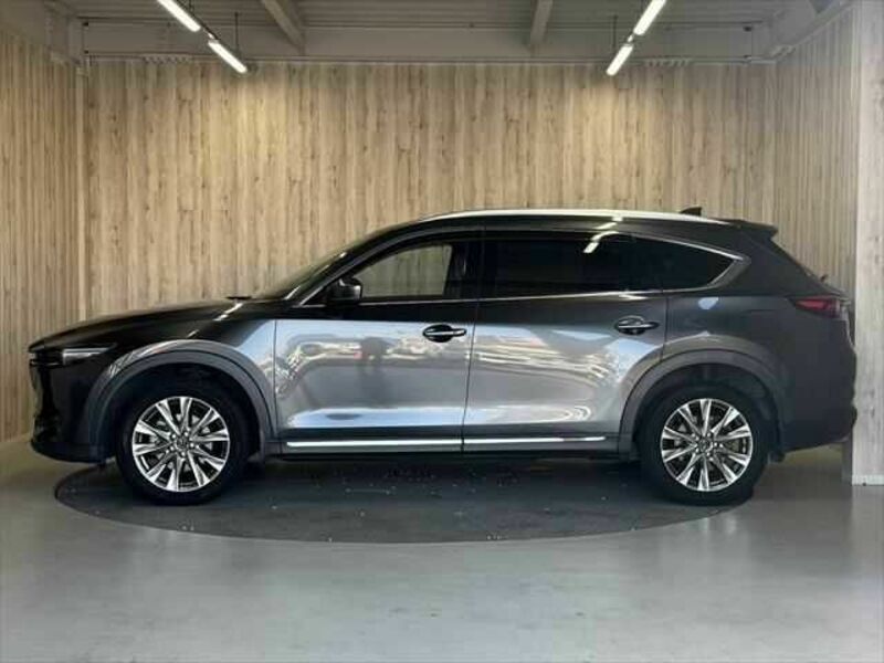 CX-8