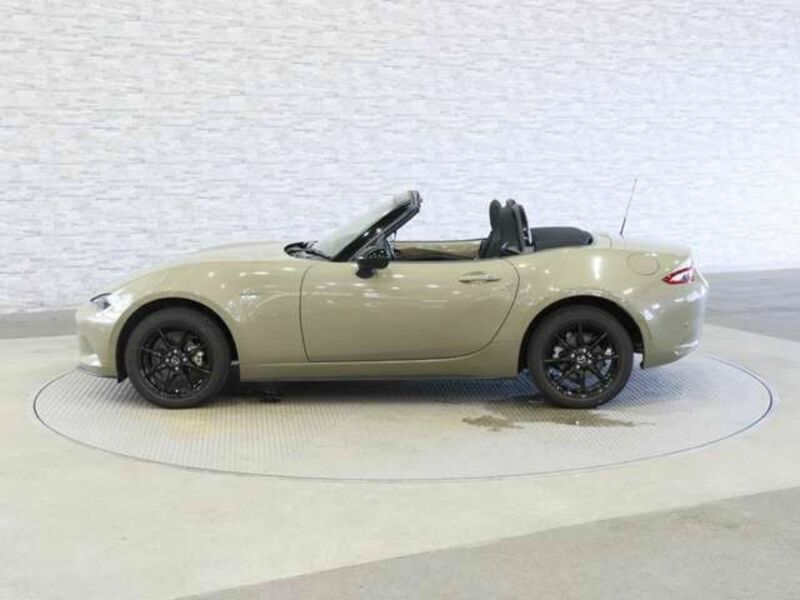 ROADSTER