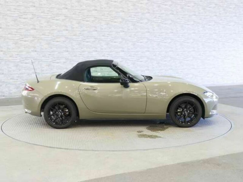 ROADSTER