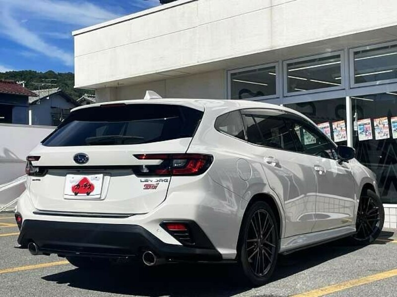 LEVORG