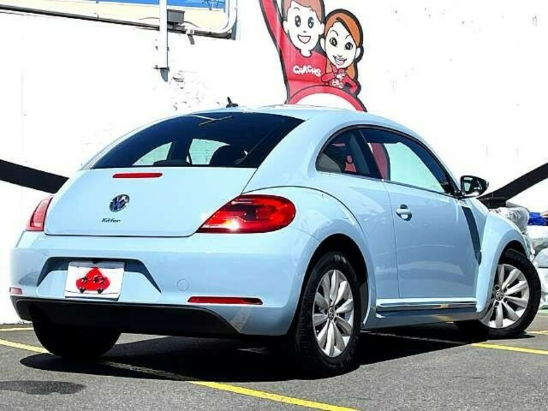 THE BEETLE