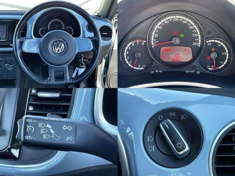 THE BEETLE