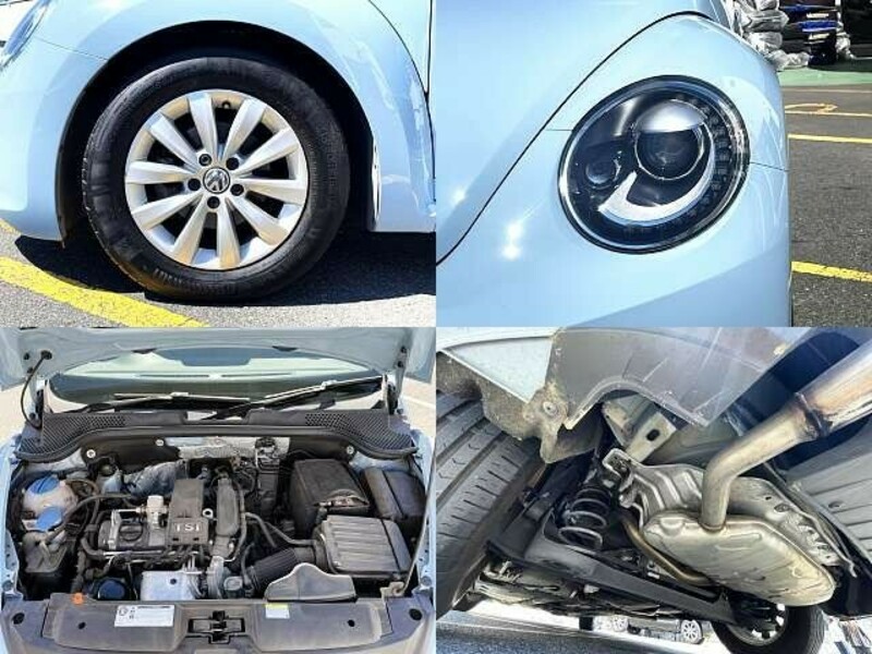 THE BEETLE