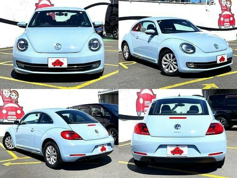 THE BEETLE