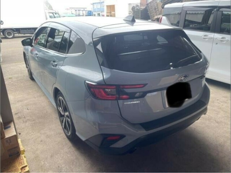 LEVORG