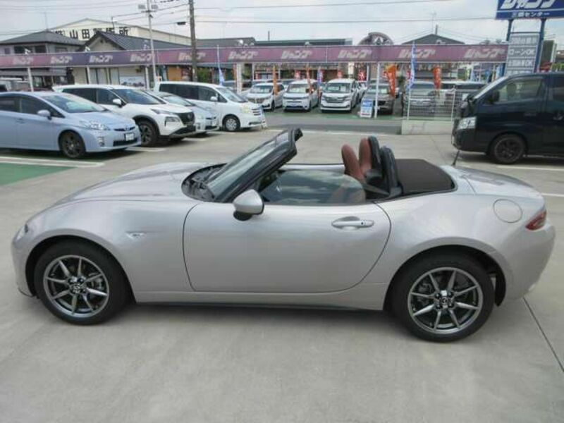 ROADSTER