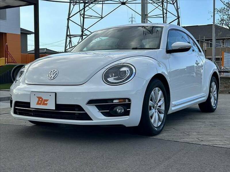 THE BEETLE