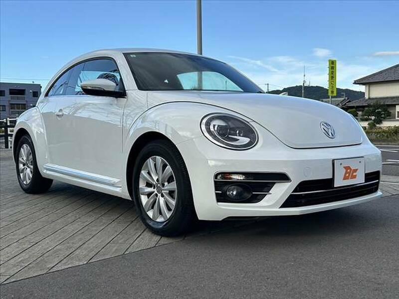 THE BEETLE