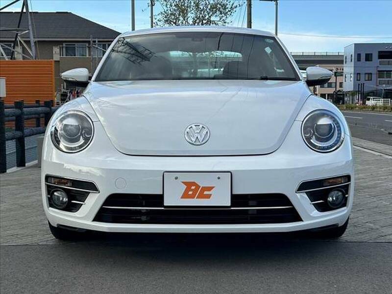 THE BEETLE