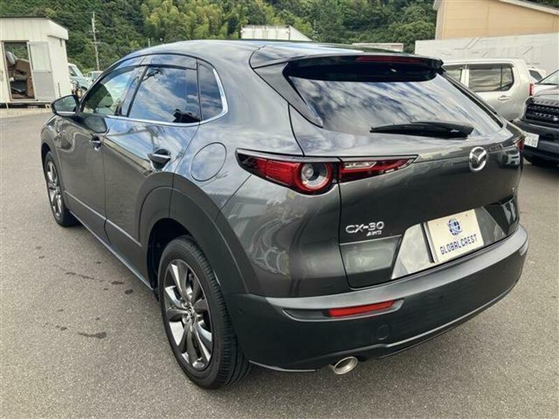 CX-30