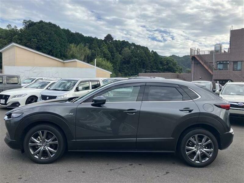 CX-30