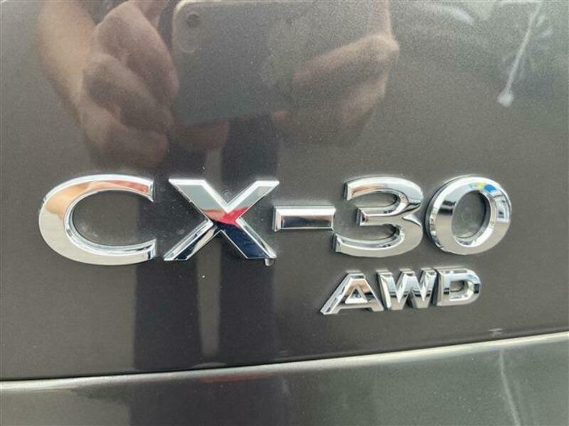 CX-30