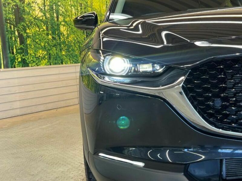 CX-30
