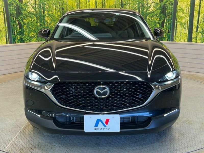 CX-30