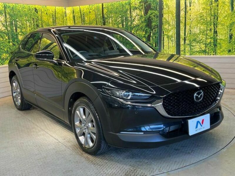CX-30