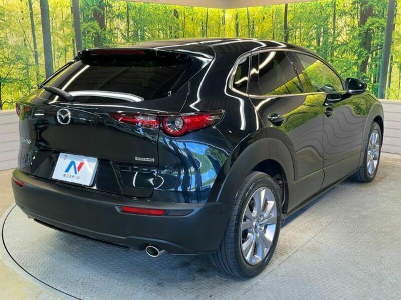 CX-30