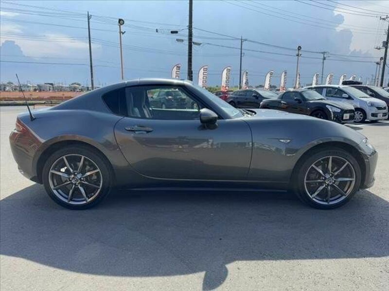 ROADSTER RF