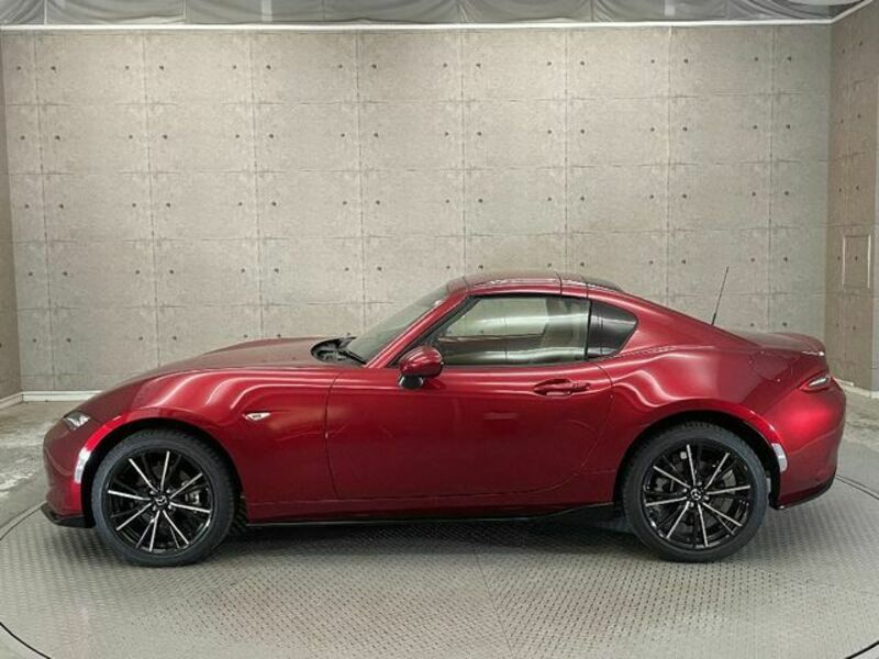 ROADSTER RF