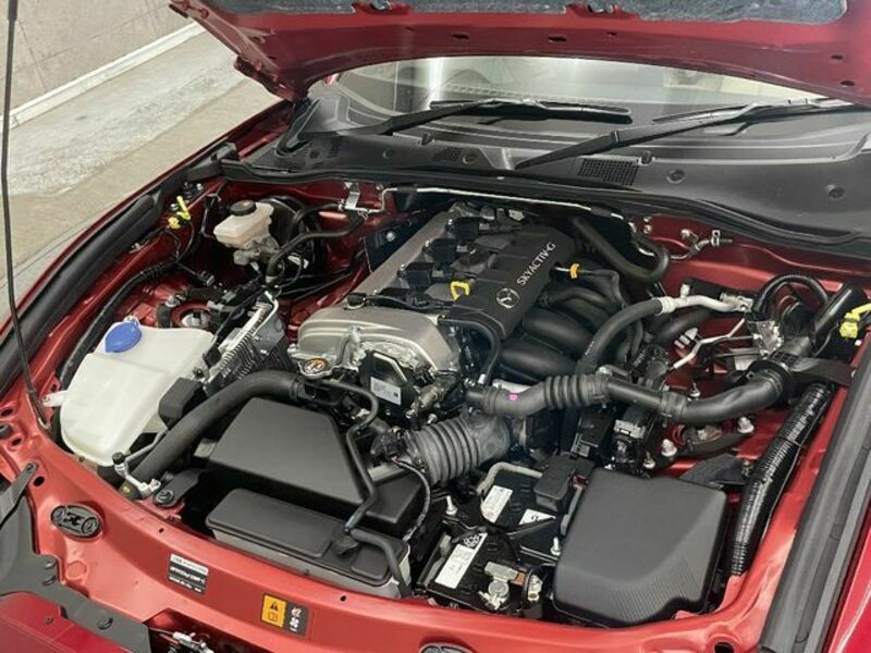 ROADSTER RF