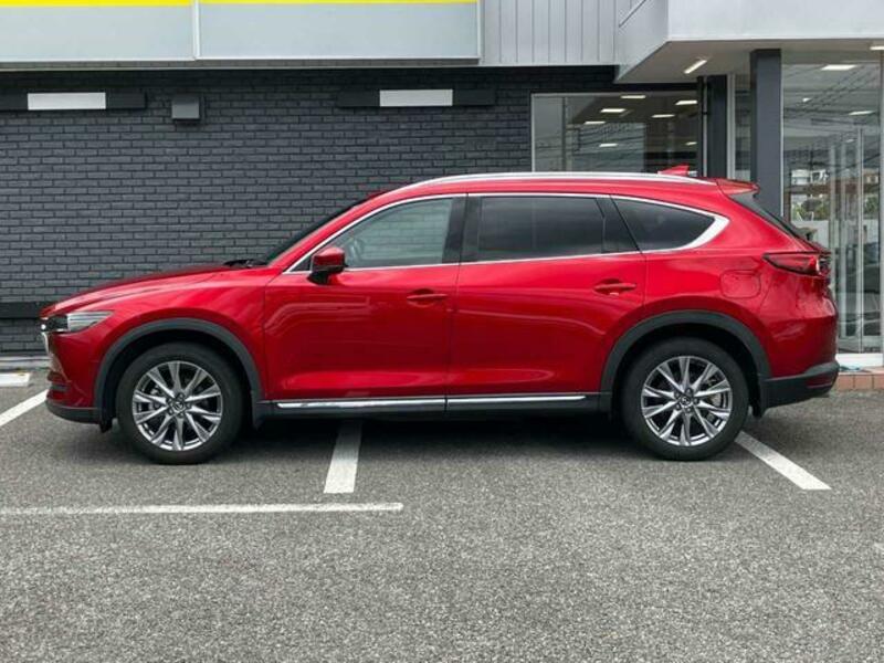 CX-8