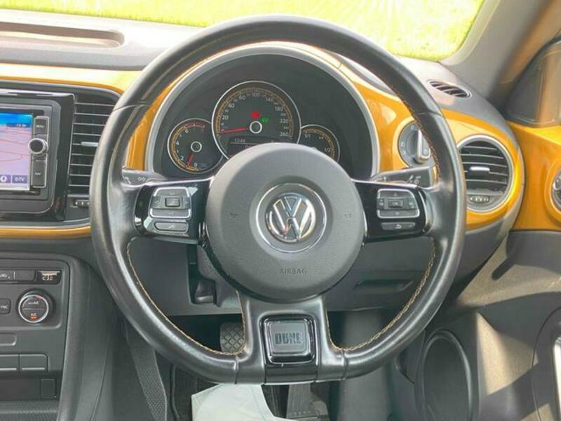 THE BEETLE