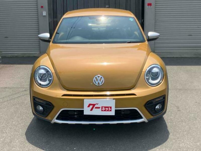 THE BEETLE