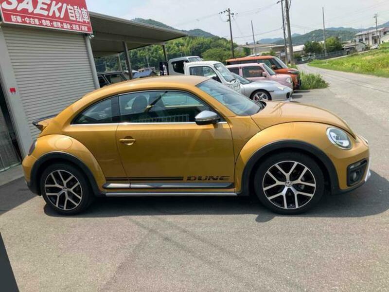 THE BEETLE
