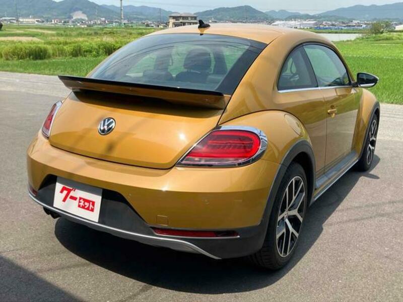 THE BEETLE