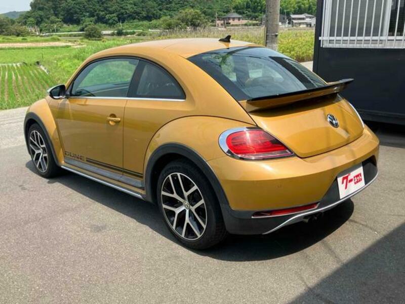 THE BEETLE