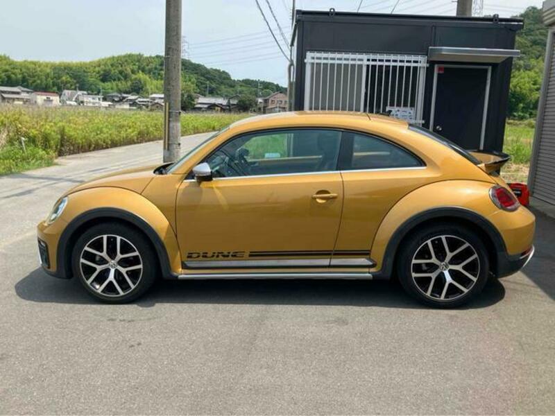 THE BEETLE